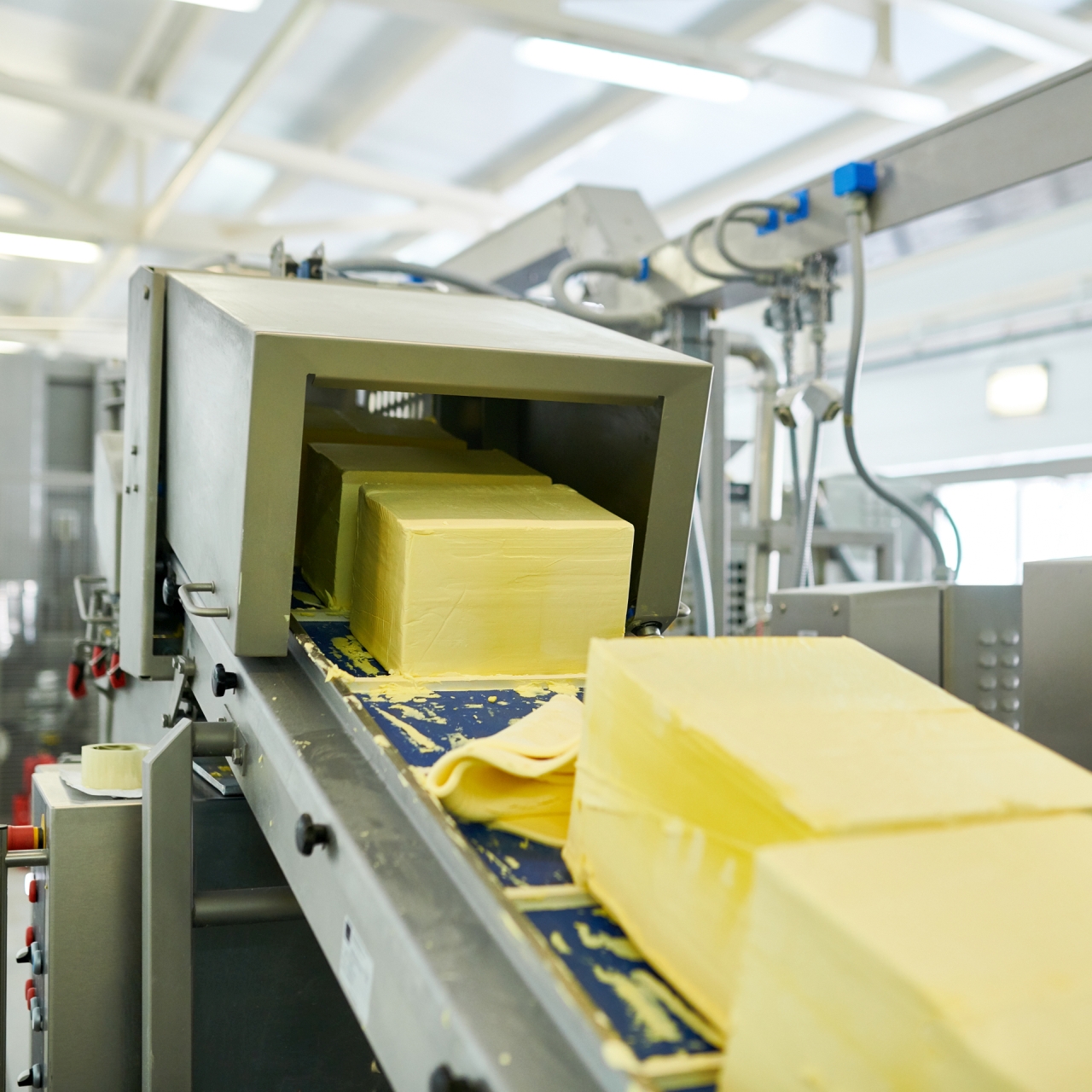 BUTTER HERST. / VERPACKUNG GEBRAUCHTE MASCHINEN Merx GmbH